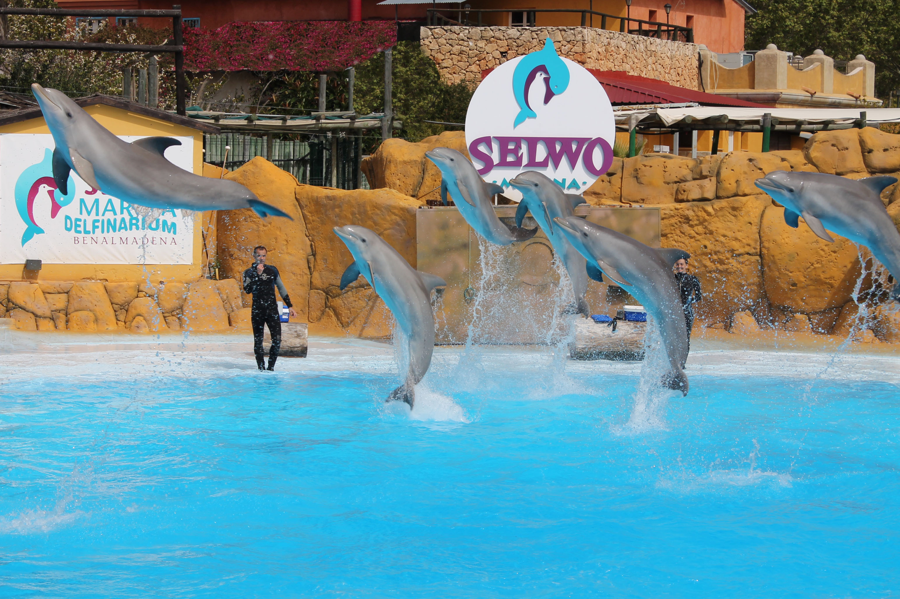 SELWO